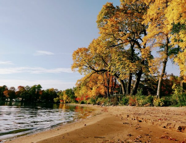 A breathtaking view of Mille Lacs Lake, with crystal-clear waters and trees stretching to the horizon.