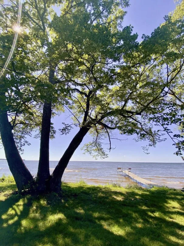 A serene summer view of a tree-lined dock and shimmering lake under a golden sun, at Sunset Shore Mille Lacs, a Minnesota vacation rental.