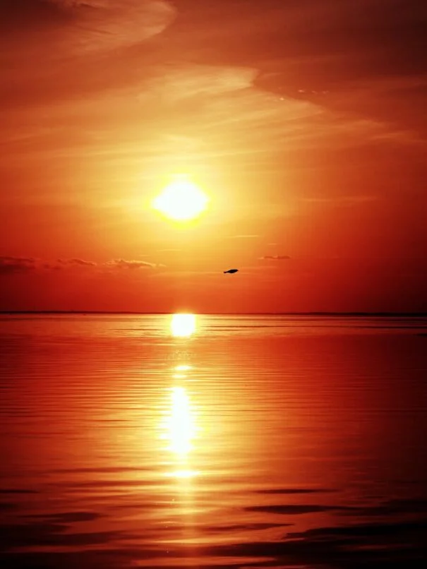 A vibrant sunset casts a warm glow over Lake Mille Lacs, with a lone bird silhouetted against the fiery sky.
