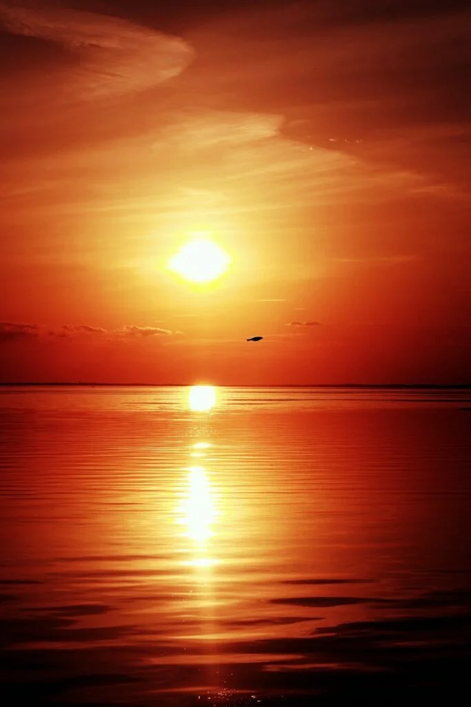 A vibrant sunset casts a warm glow over Lake Mille Lacs, with a lone bird silhouetted against the fiery sky.