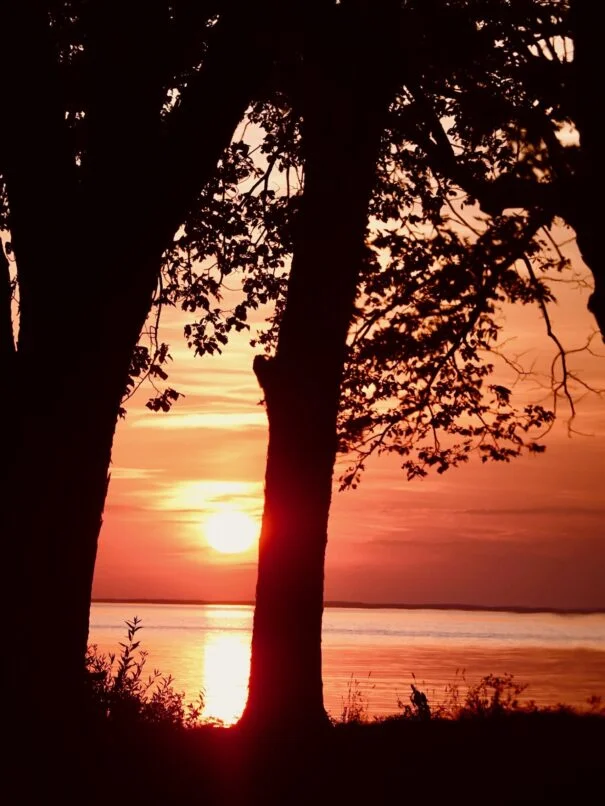 Beautiful sunset over Mille Lacs Lake with tree silhouettes in foreground